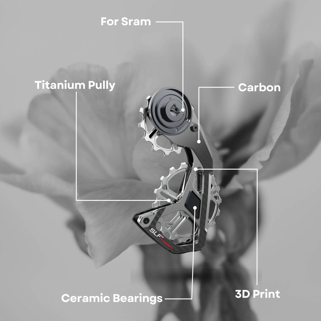 SPEED SYSTEM FOR SRAM