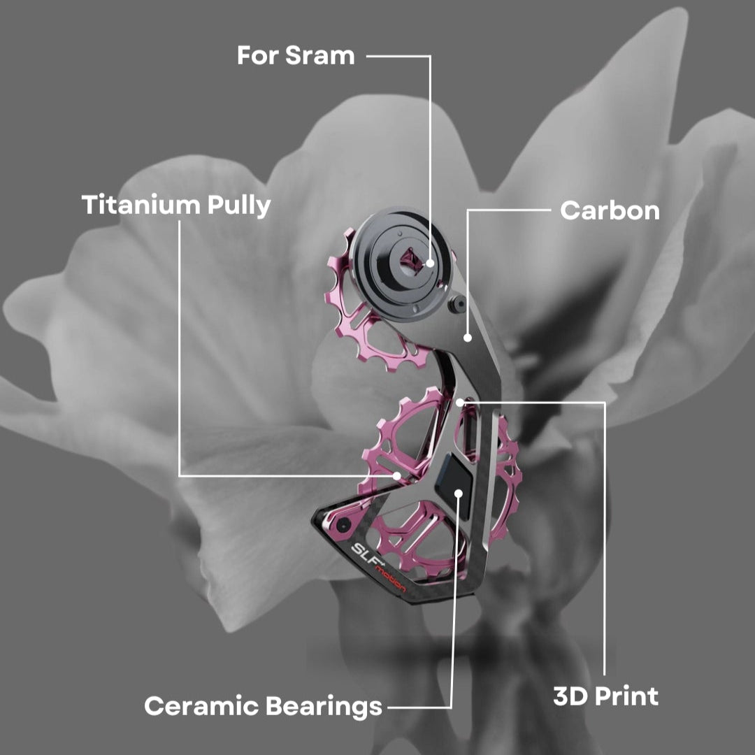 SPEED SYSTEM FOR SRAM