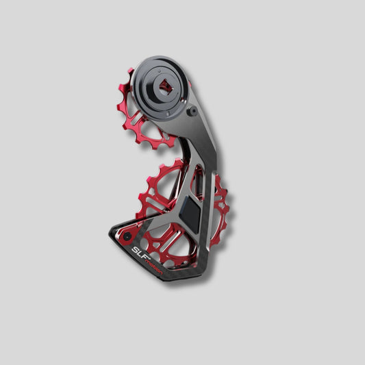 SPEED SYSTEM FOR SRAM