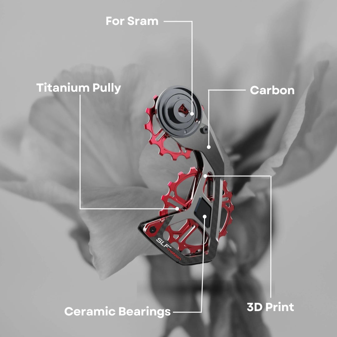 SPEED SYSTEM FOR SRAM
