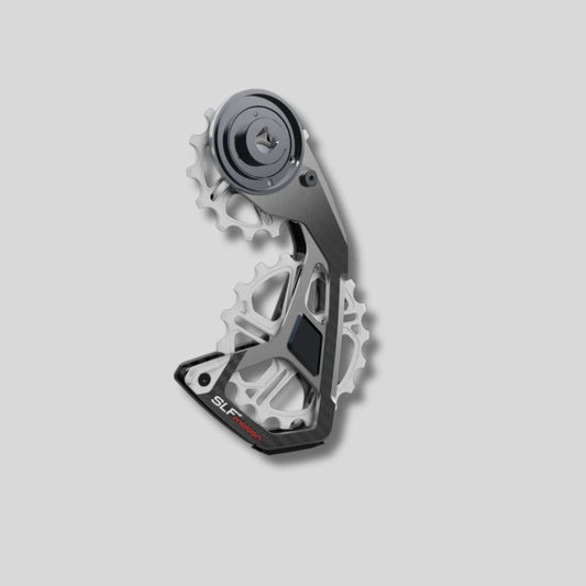 SPEED SYSTEM SRAM