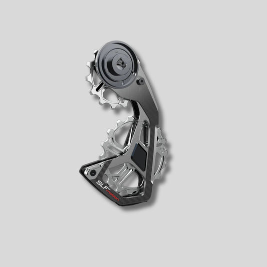 SPEED SYSTEM FOR SRAM