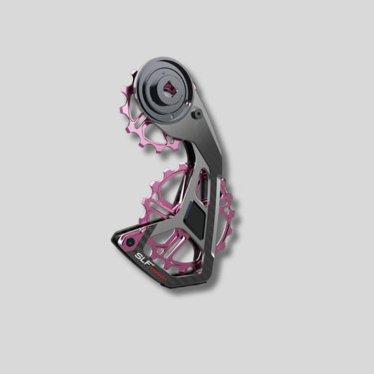 SPEED SYSTEM FOR SRAM